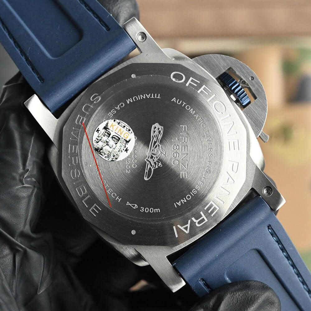 Pa*e*a1 SUBMERSIBLE PAM01676