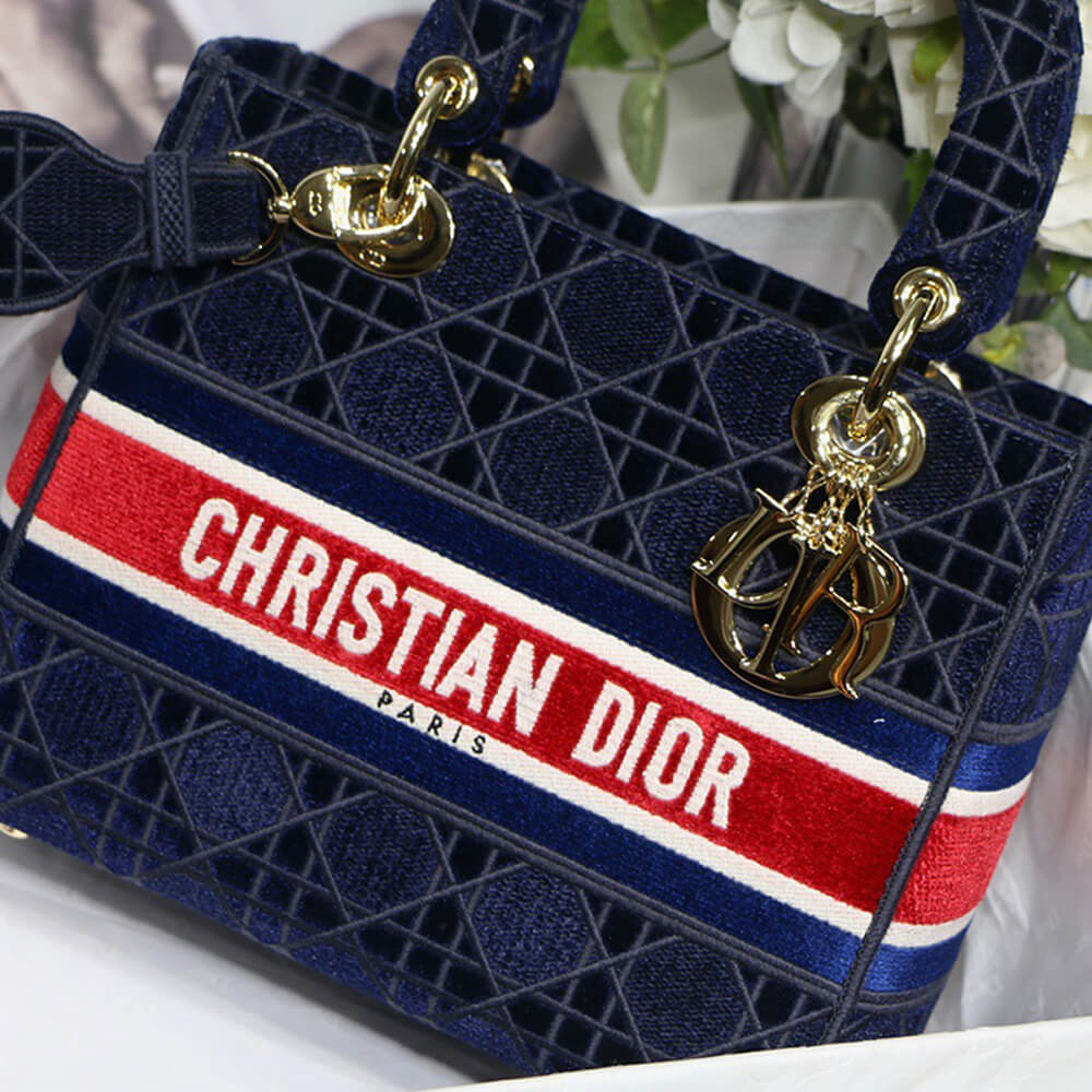 D10r MEDIUM LADY D-LITE BAG