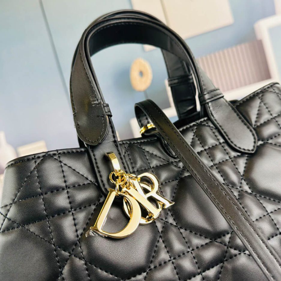 MEDIUM D10r TOUJOURS BAG