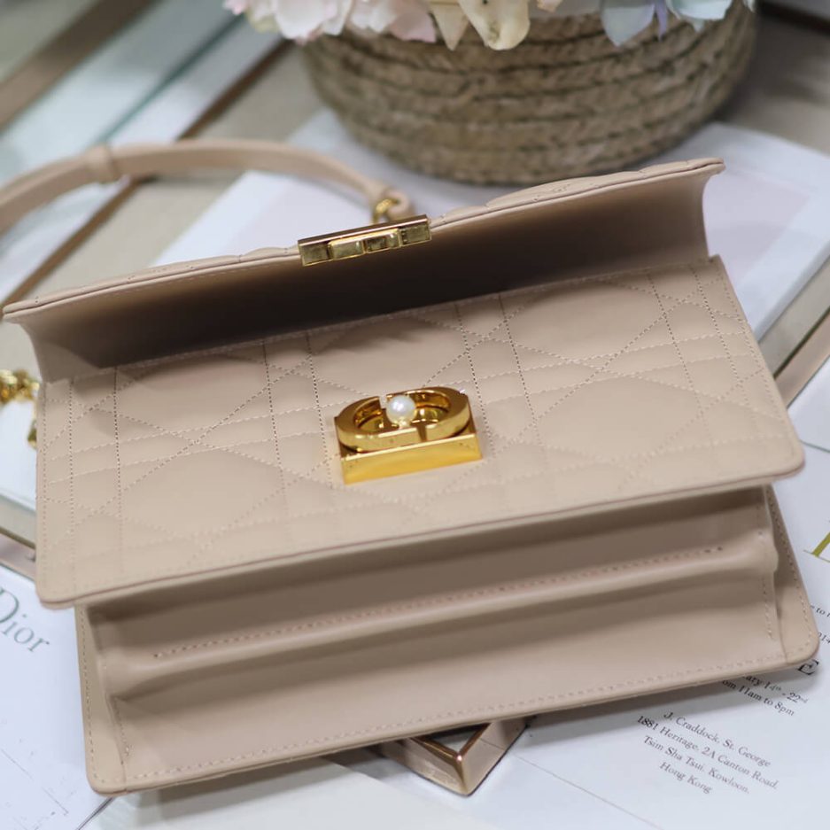 Medium D10r Ange Bag