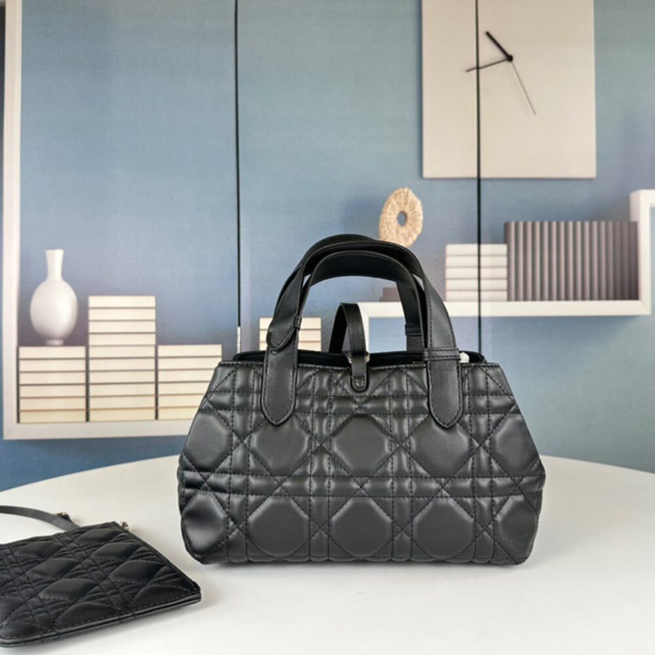 SMALL D10r TOUJOURS BAG